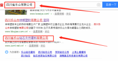 四川省樂山鉆石天然磨料有限責(zé)任公司跟本公司簽訂網(wǎng)頁(yè)設(shè)計(jì)項(xiàng)目