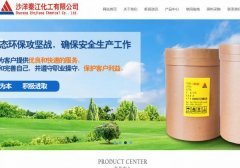 沙洋秦*化工有限公司建網(wǎng)站新一代自助建站、智能建站系統(tǒng)