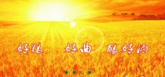 山東省梁山縣徐*生物工程有限公司網(wǎng)站建設(shè)新一代自助建站、智能建站系統(tǒng)