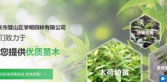 重慶市璧山區(qū)學*園林有限公司網站建設基本流程