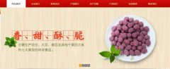 紅太*食品(榮成)有限公司制作網(wǎng)站新一代自助建站、智能建站系統(tǒng)