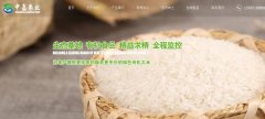 豐城市中*農(nóng)業(yè)發(fā)展有限公司網(wǎng)站建設(shè)新一代自助建站、智能建站系統(tǒng)
