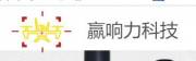 深圳市贏響力科技有限公司企業(yè)網(wǎng)站建設方案